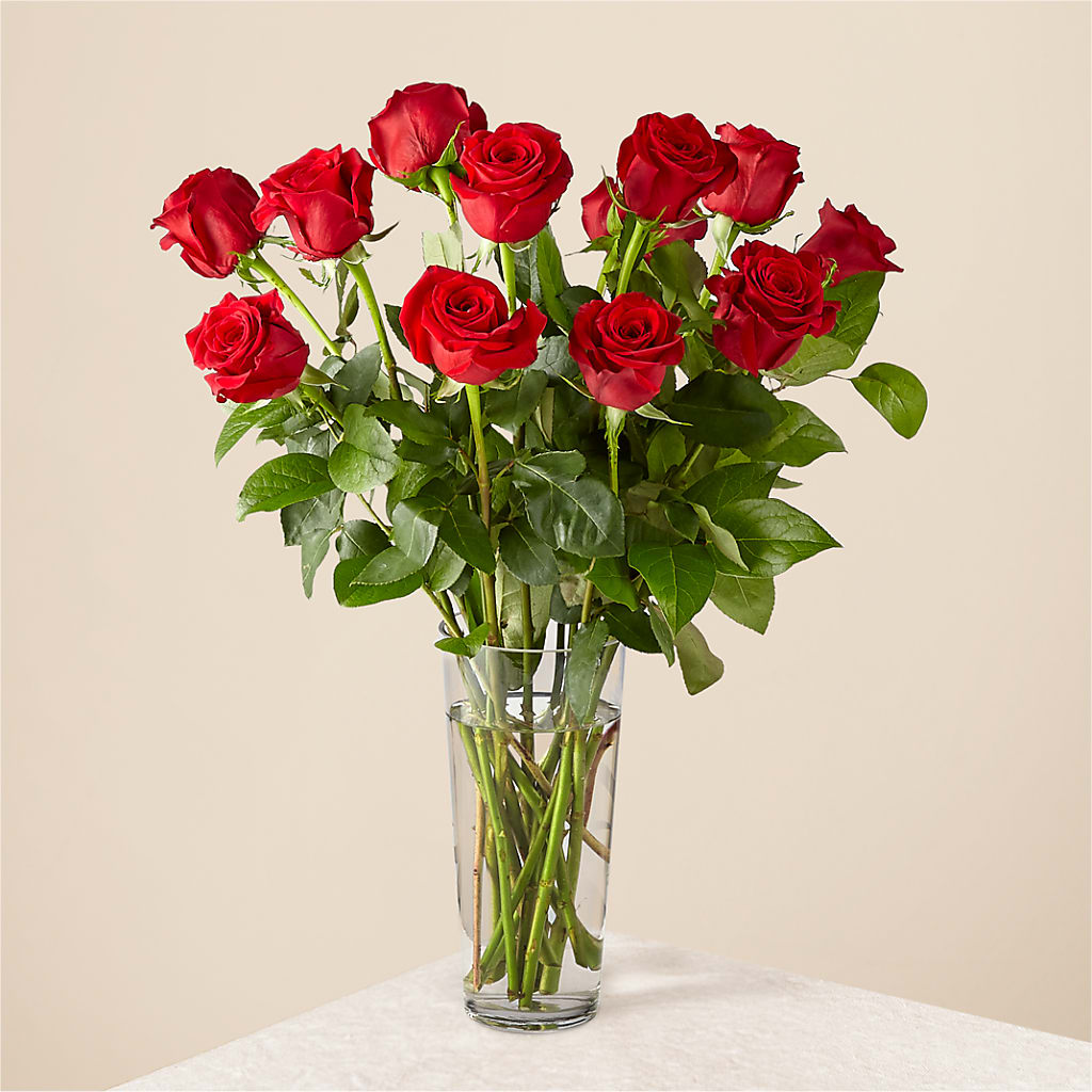 Long Stem Red Rose Bouquet – Abc Florist, Mullens WV