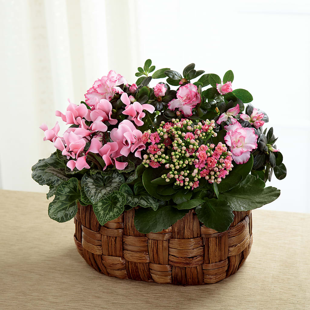Pink Assortment – Abc Florist, Mullens WV