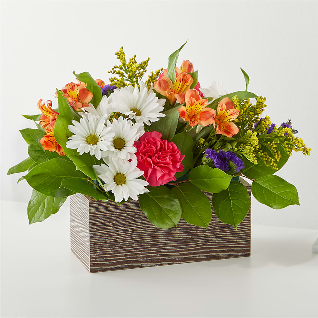 Oopsie Daisy Box Bouquet – Abc Florist, Mullens WV