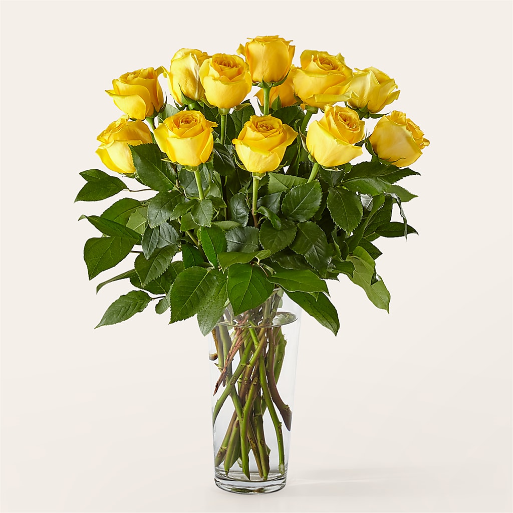 Long Stem Yellow Rose Bouquet – Abc Florist, Mullens WV