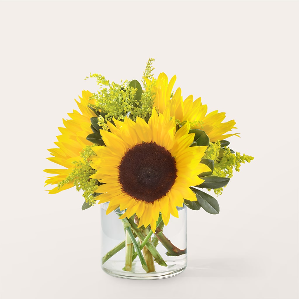 Beaming Sunflower Bouquet – Abc Florist, Mullens WV