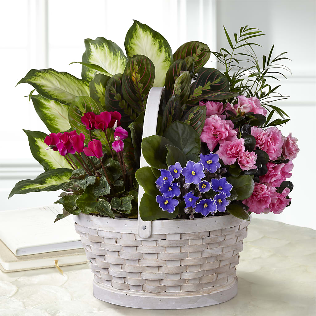Peaceful Garden Planter – Abc Florist, Mullens WV