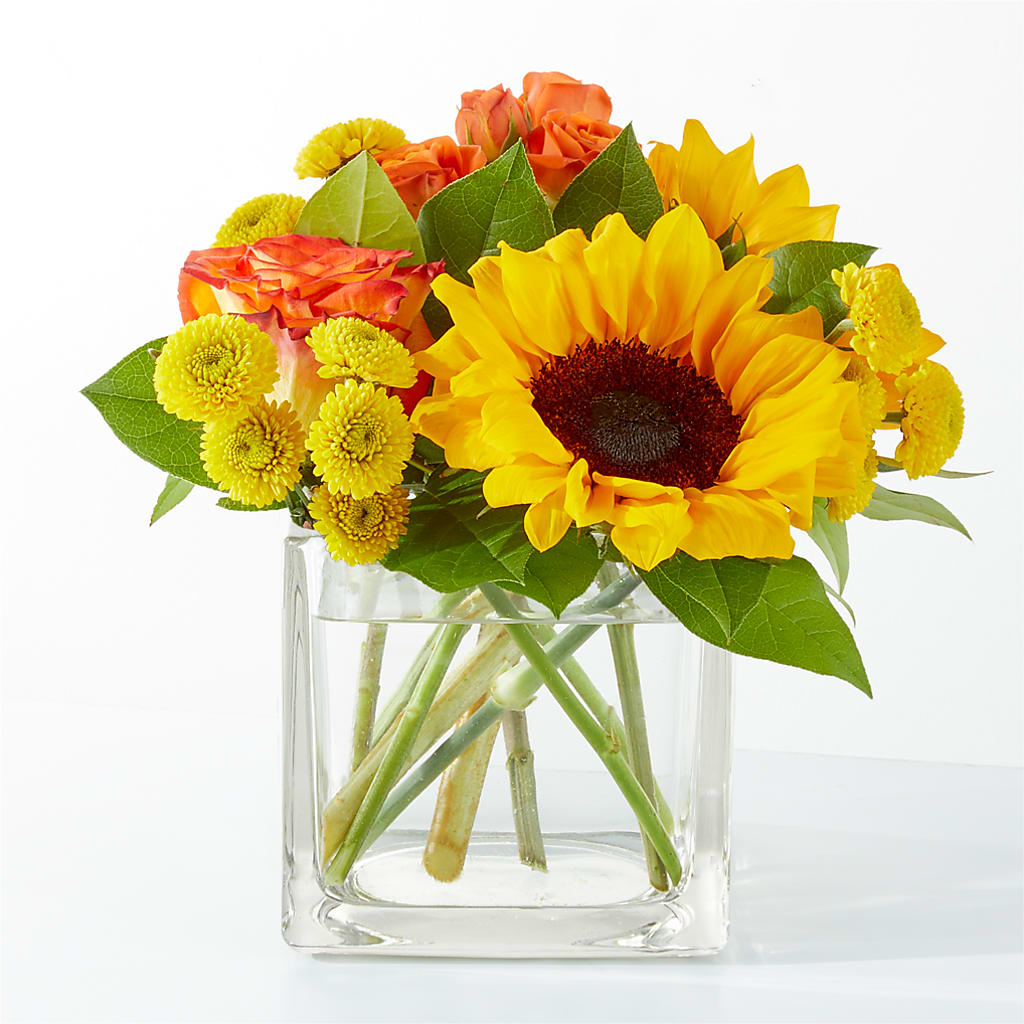 Picnic in the Park Bouquet – Abc Florist, Mullens WV