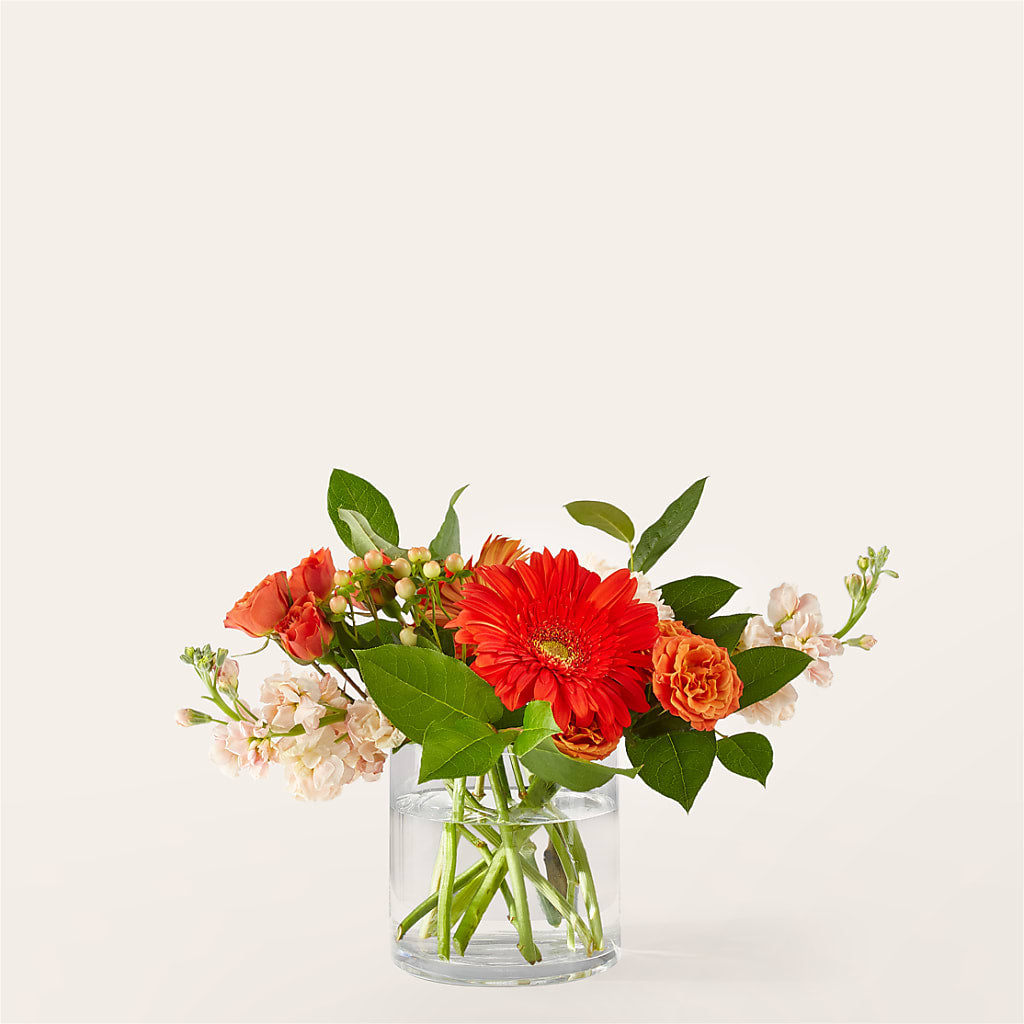 Paloma Please Bouquet – Abc Florist, Mullens WV