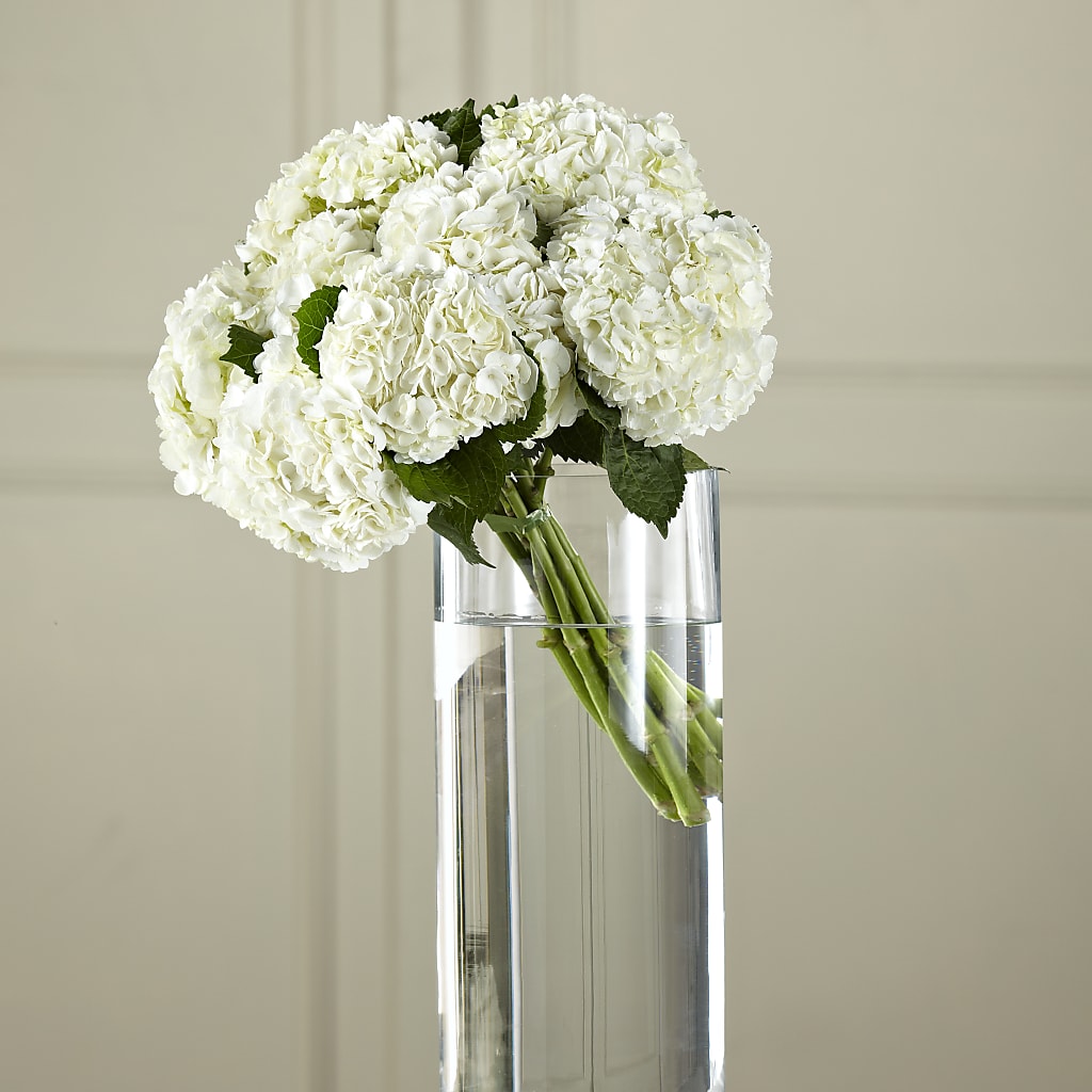 White Hydrangea Hand-Tied Bouquet – Abc Florist, Mullens WV