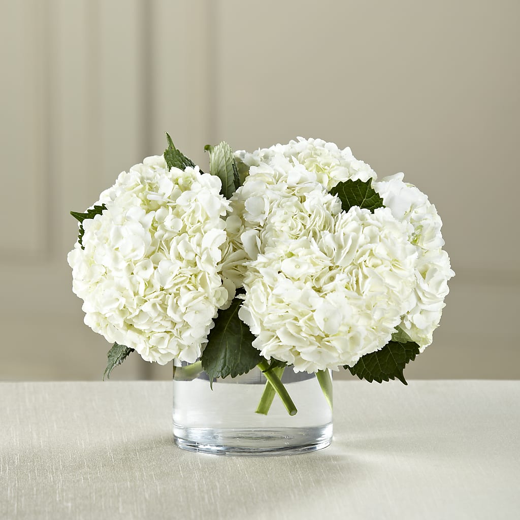 White Hydrangea Bouquet – Abc Florist, Mullens WV