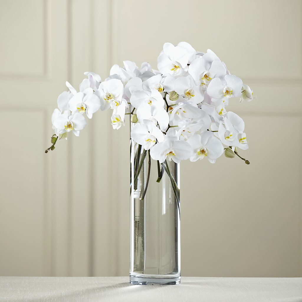 White Phalaenopsis Bouquet – Abc Florist, Mullens WV