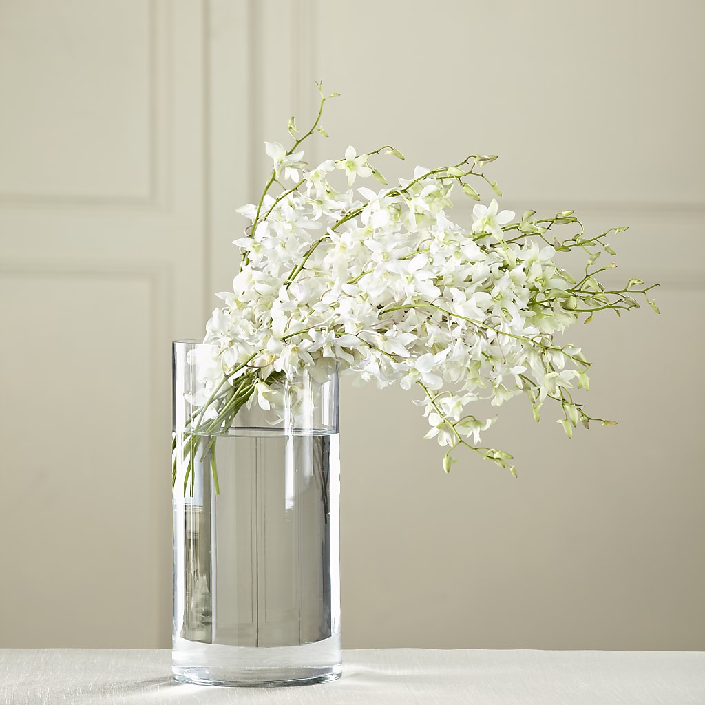 White Dendrobium Bouquet – Abc Florist, Mullens WV