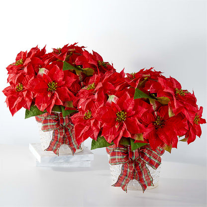 Happiest Holidays Poinsettia Bundle –  Abc Florist, Mullens WV