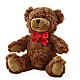 Adorable Plush Bear –  Abc Florist, Mullens WV