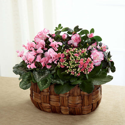Pink Assortment –  Abc Florist, Mullens WV