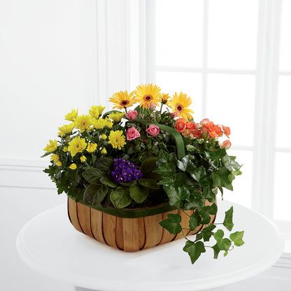 Gentle Blossoms Basket –  Abc Florist, Mullens WV