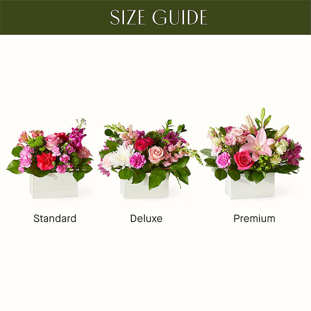 Sweetberry Box – A Florist Original –  Abc Florist, Mullens WV