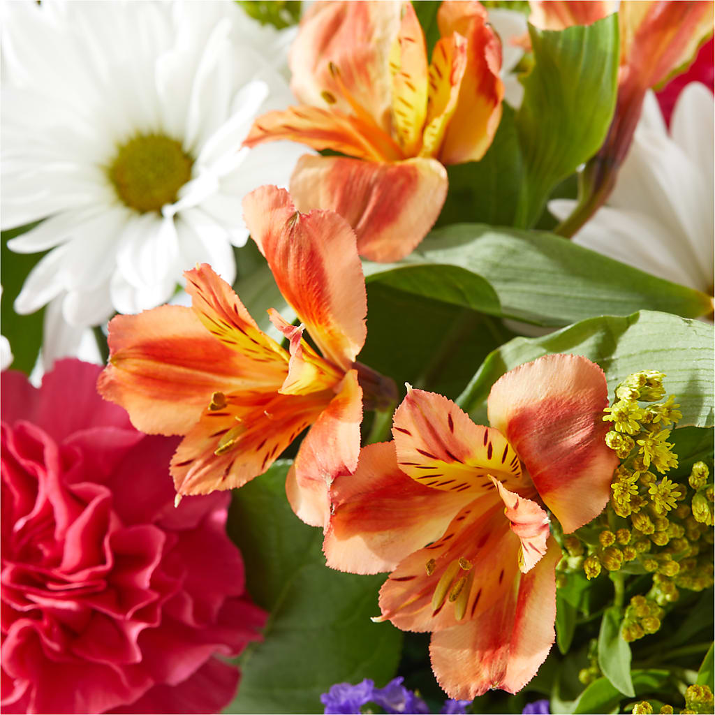 Oopsie Daisy Box Bouquet –  Abc Florist, Mullens WV