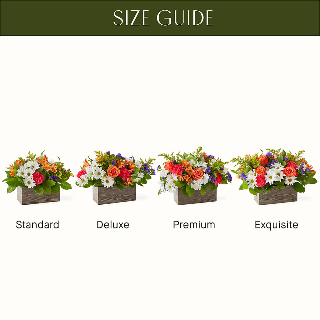 Oopsie Daisy Box Bouquet –  Abc Florist, Mullens WV