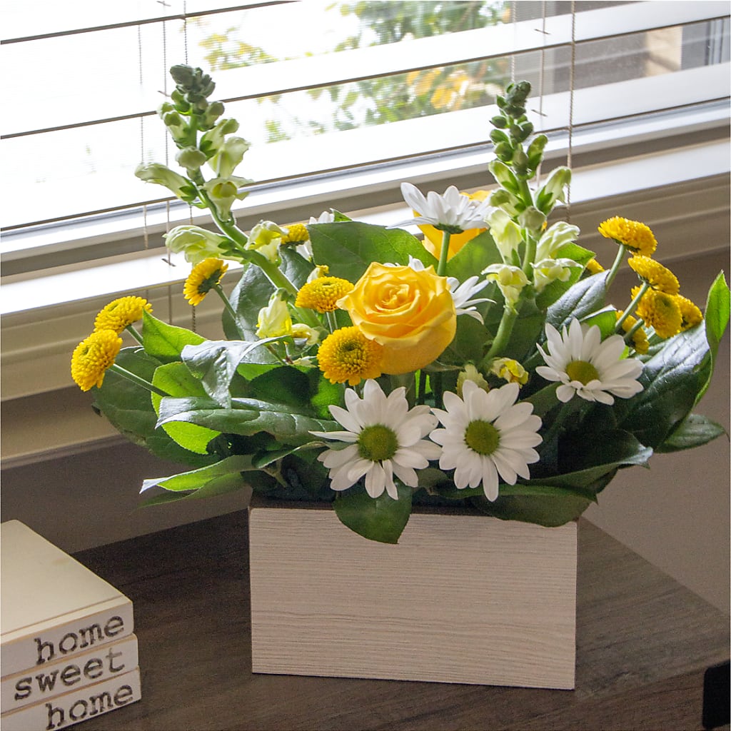Sun Salutation Box Bouquet –  Abc Florist, Mullens WV