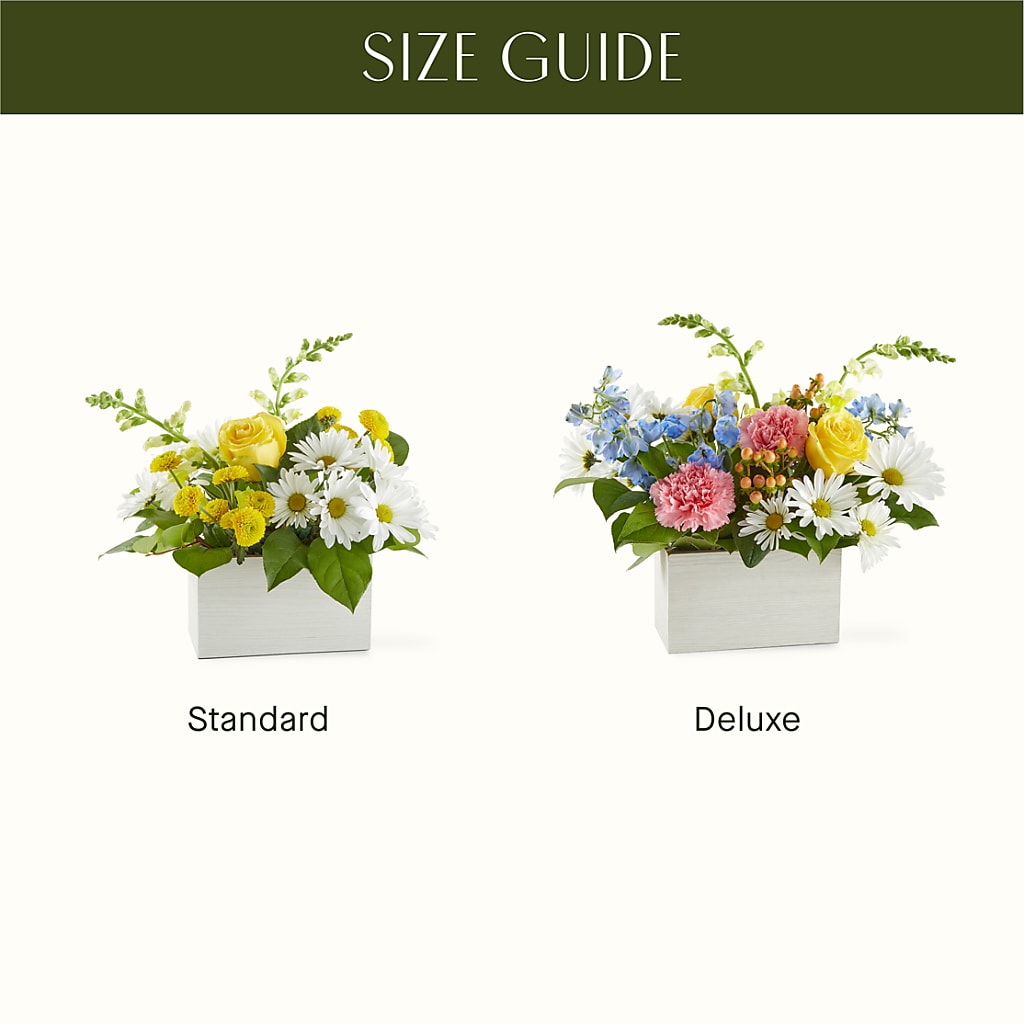 Sun Salutation Box Bouquet –  Abc Florist, Mullens WV