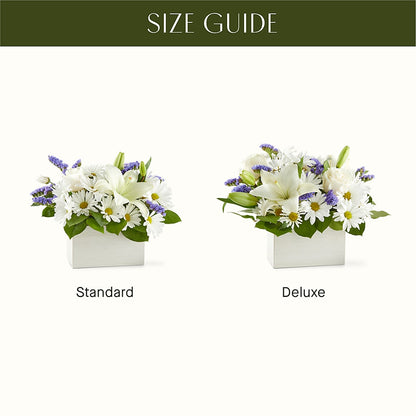 Beyond Blue Box Bouquet –  Abc Florist, Mullens WV