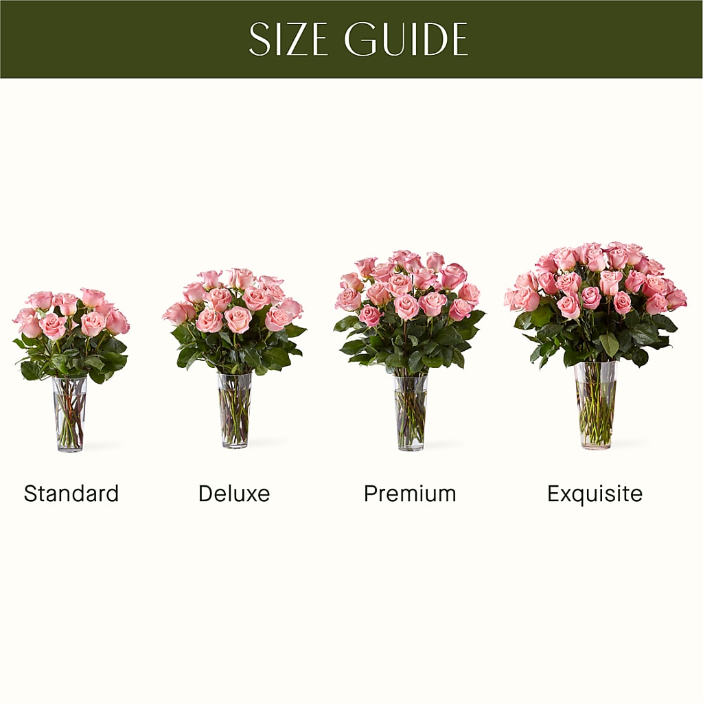 Long Stem Pink Rose Bouquet –  Abc Florist, Mullens WV