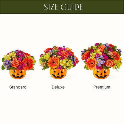 Tricks & Treats Pumpkin –  Abc Florist, Mullens WV