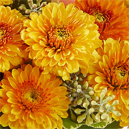 Peachy Pumpkin –  Abc Florist, Mullens WV