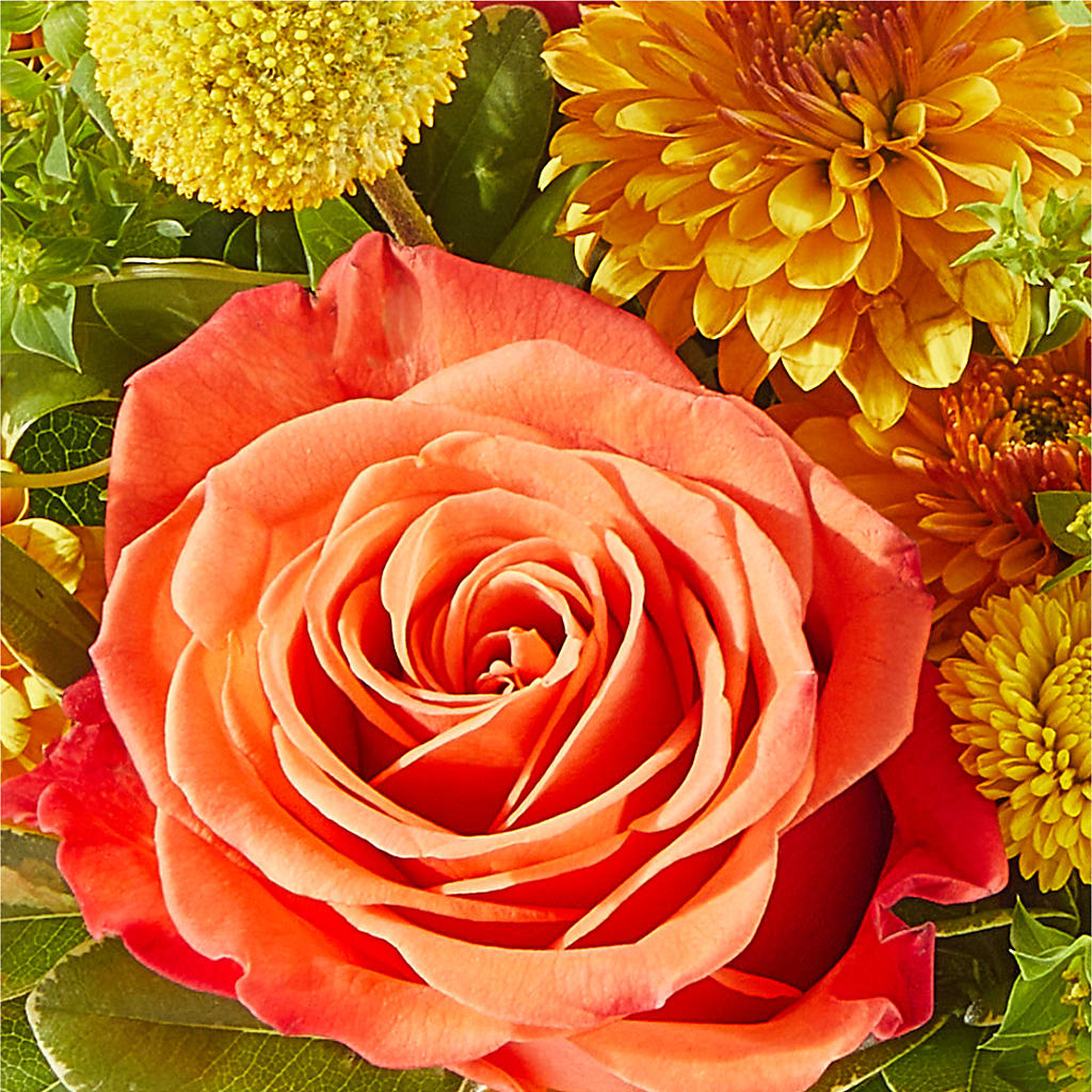 Gourdgeous Pumpkin –  Abc Florist, Mullens WV