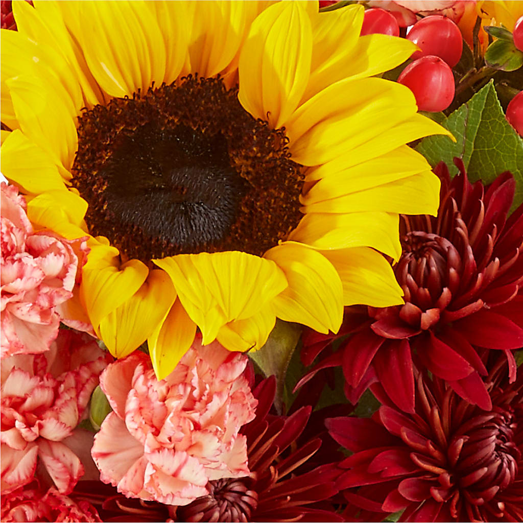Fresh Cider Bouquet –  Abc Florist, Mullens WV