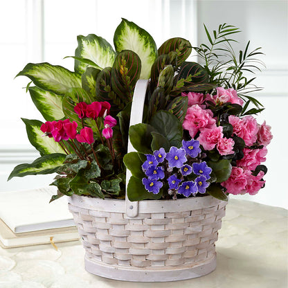 Peaceful Garden Planter –  Abc Florist, Mullens WV