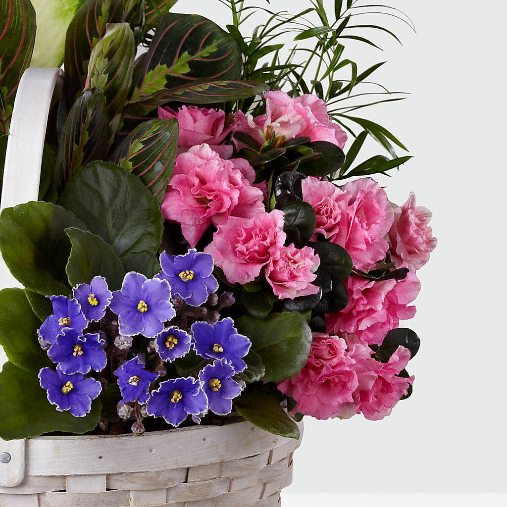 Peaceful Garden Planter –  Abc Florist, Mullens WV