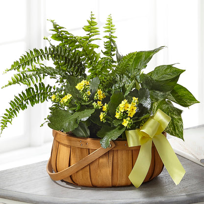Always Dear Dishgarden –  Abc Florist, Mullens WV