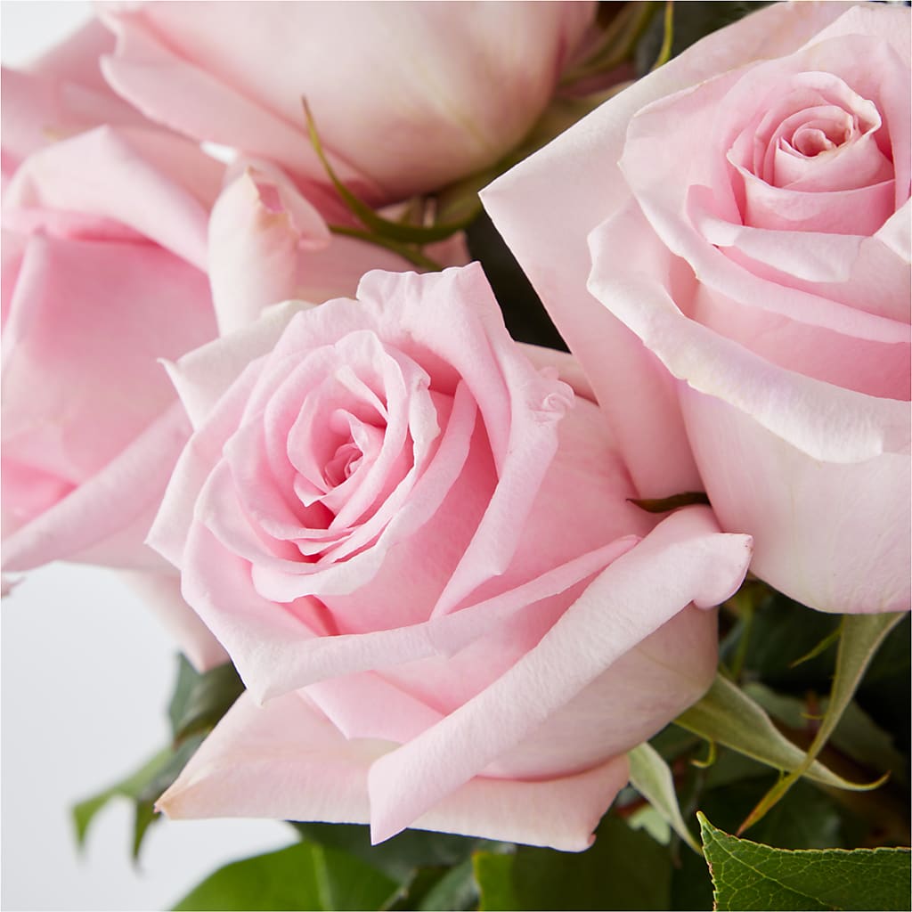 Picture Perfect Pink Rose Bouquet –  Abc Florist, Mullens WV