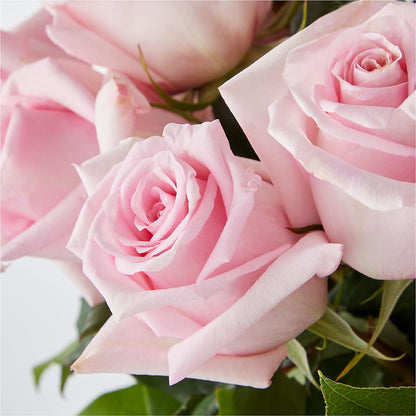 Picture Perfect Pink Rose Bouquet –  Abc Florist, Mullens WV