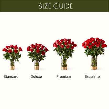 Classic Love Red Rose Bouquet –  Abc Florist, Mullens WV