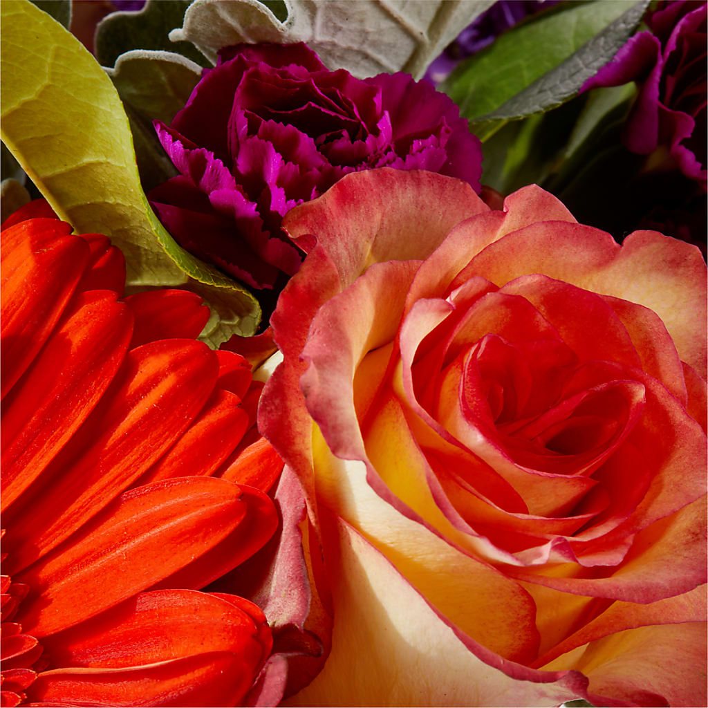 Sangria Bouquet –  Abc Florist, Mullens WV
