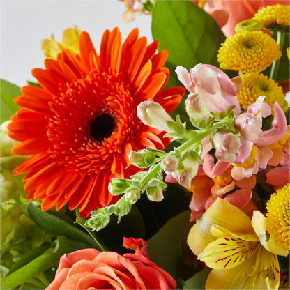 Autumn Sunshine Bouquet –  Abc Florist, Mullens WV