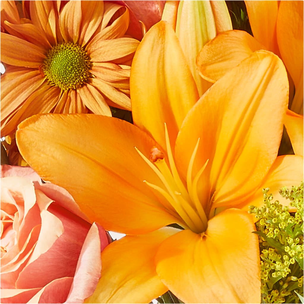 Harvest Hayride Bouquet –  Abc Florist, Mullens WV