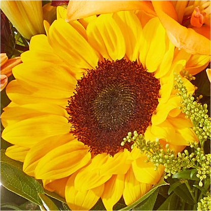 Seasons Change Bouquet –  Abc Florist, Mullens WV