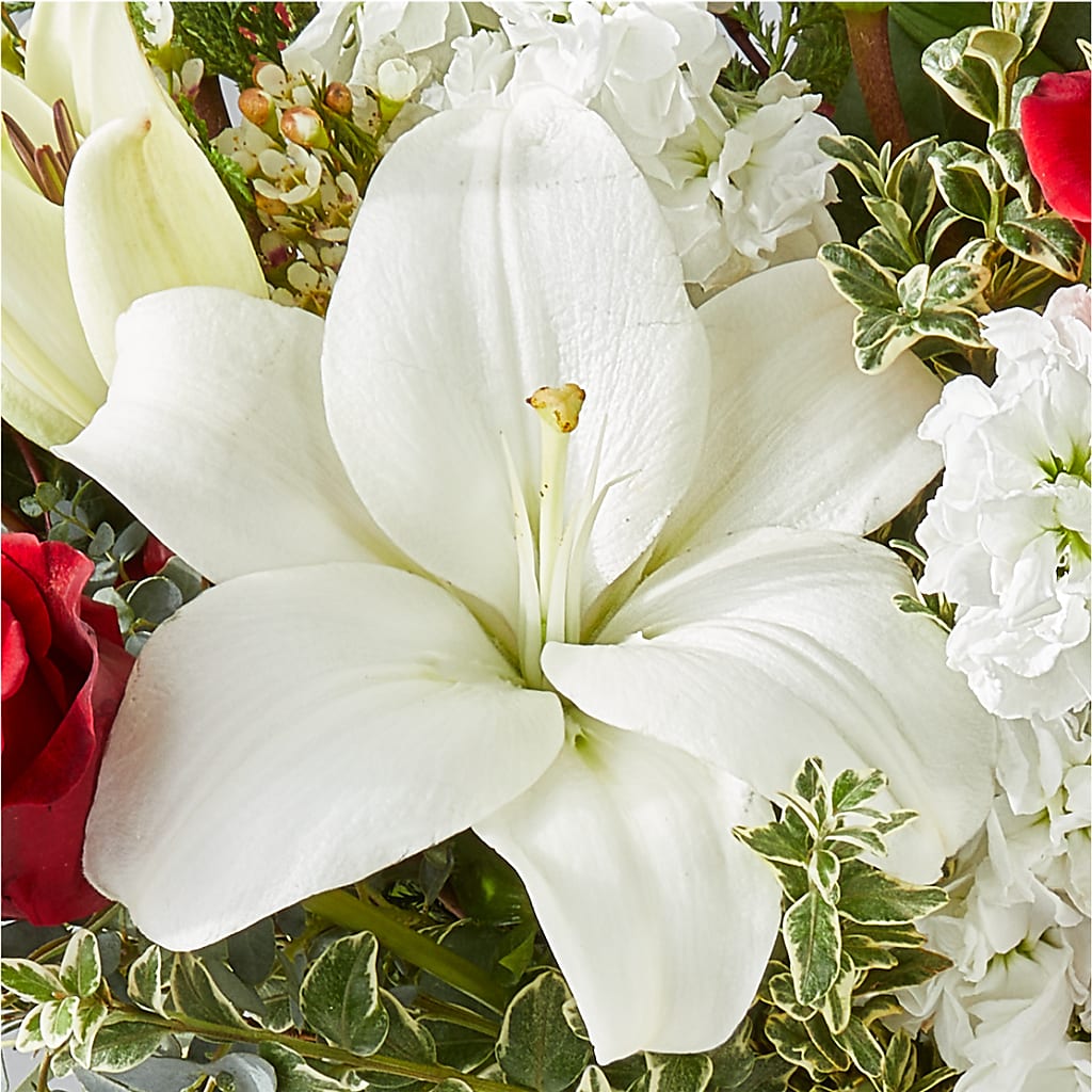 Twinkle Lights Bouquet –  Abc Florist, Mullens WV