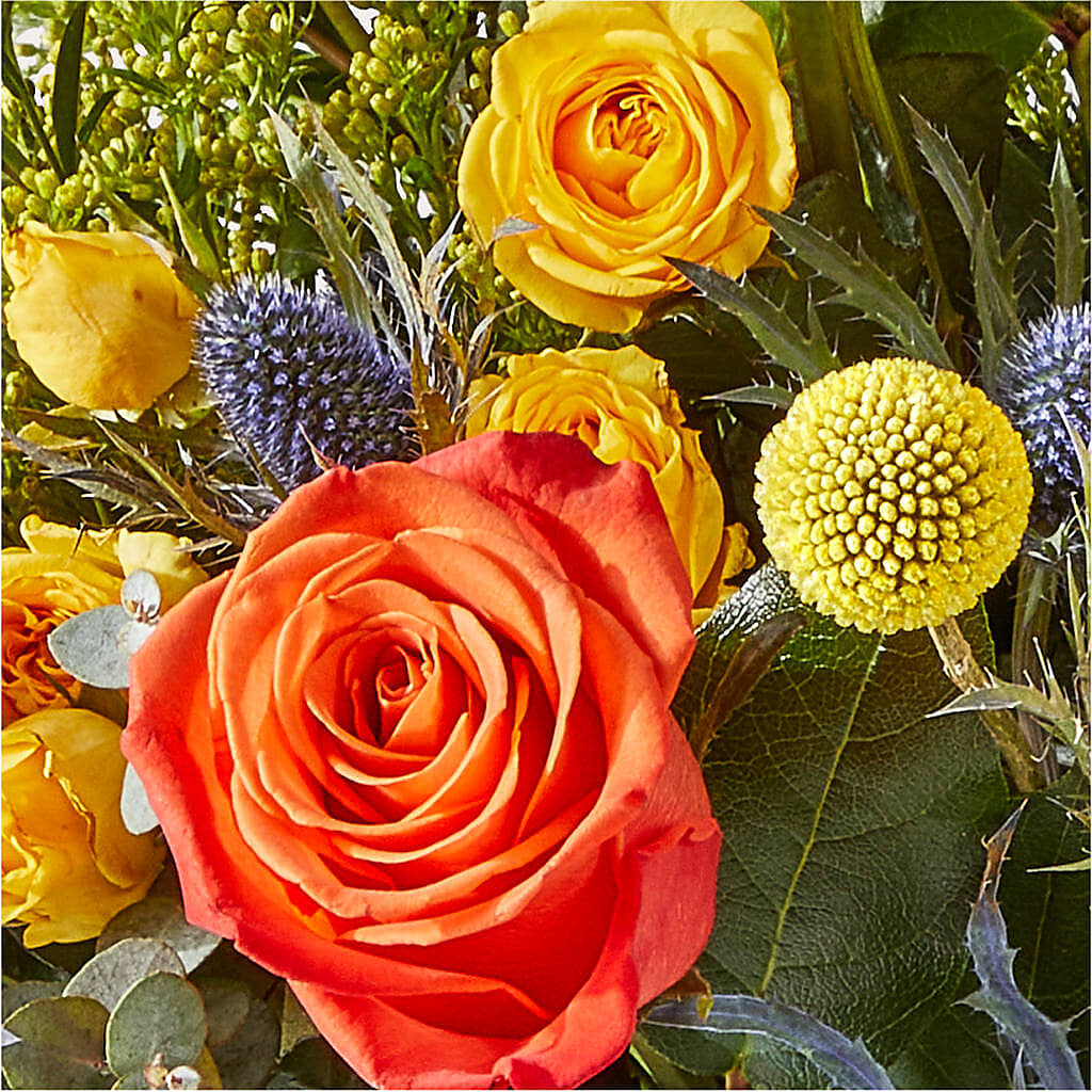 Disco Bouquet –  Abc Florist, Mullens WV