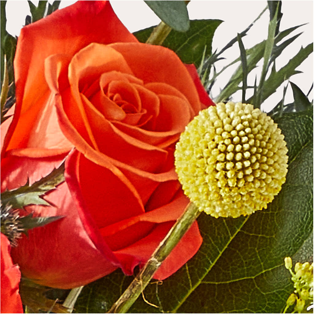Disco Bouquet –  Abc Florist, Mullens WV