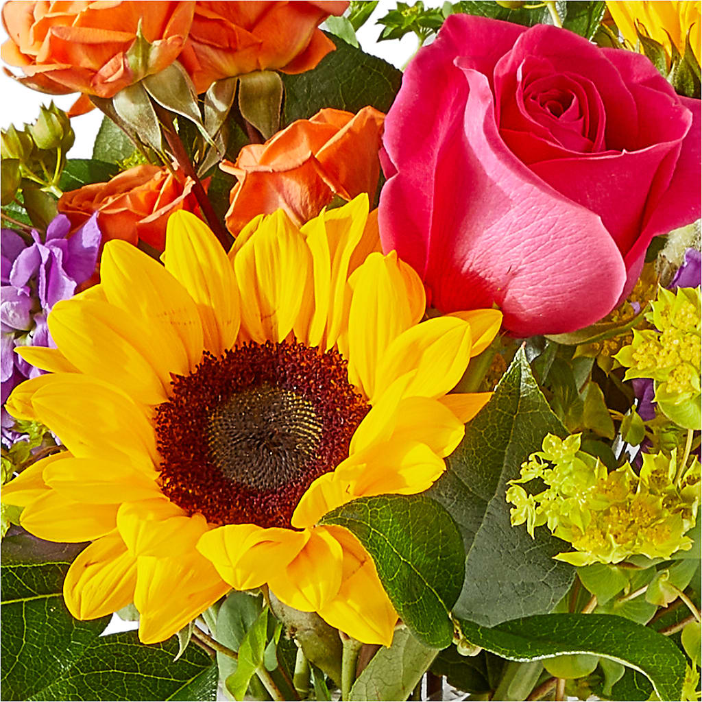 Vibrant Greetings Bouquet –  Abc Florist, Mullens WV