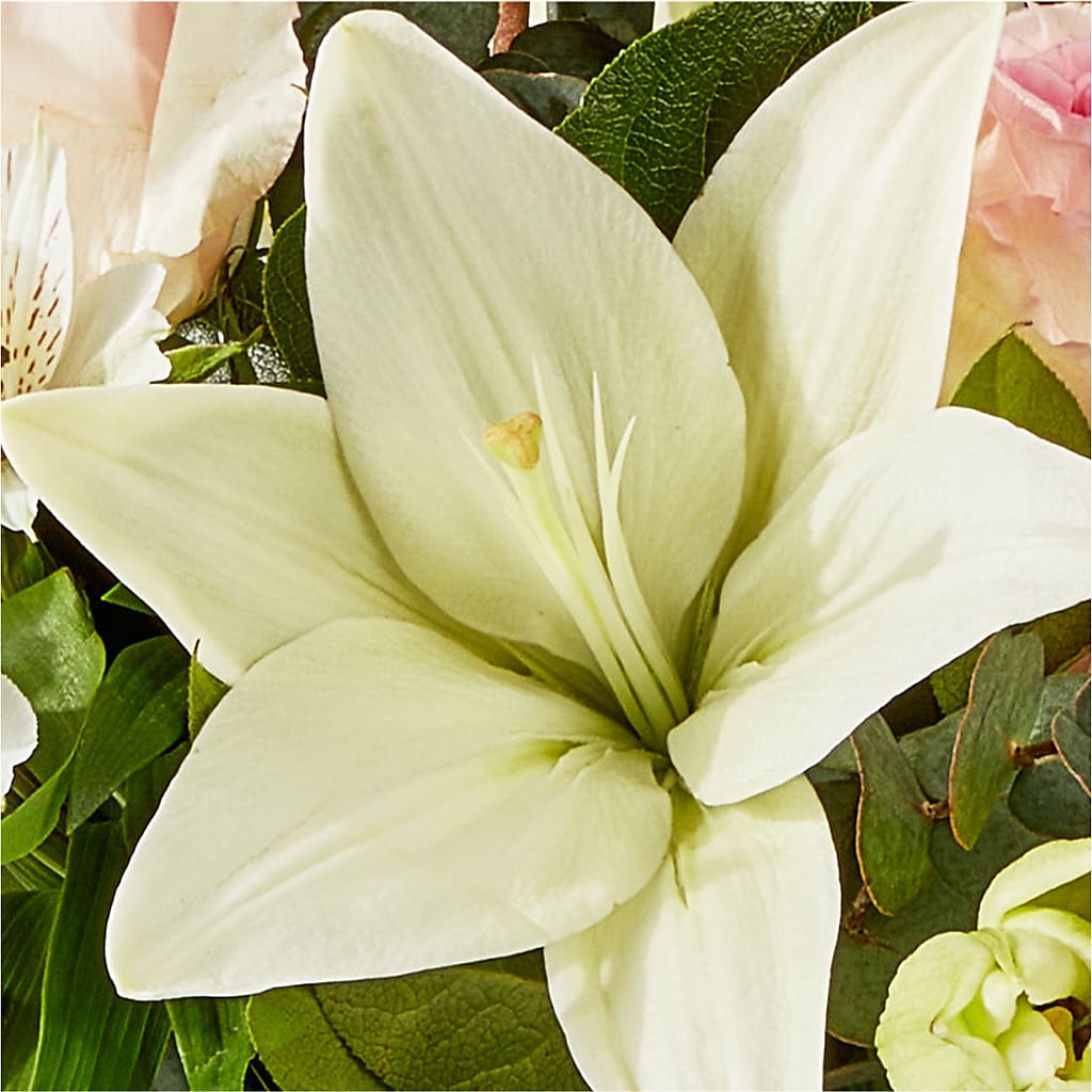 Ballet Slippers Bouquet –  Abc Florist, Mullens WV