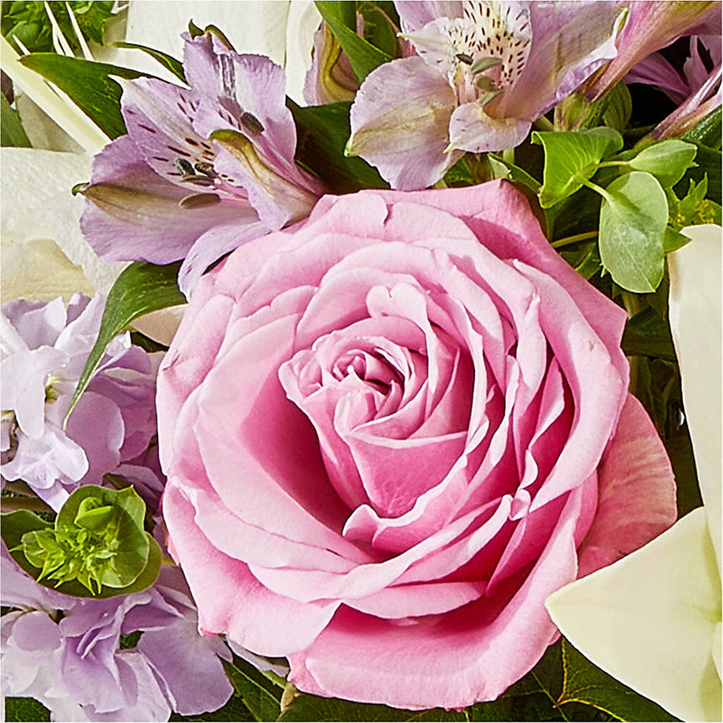 Daydreamer Bouquet –  Abc Florist, Mullens WV