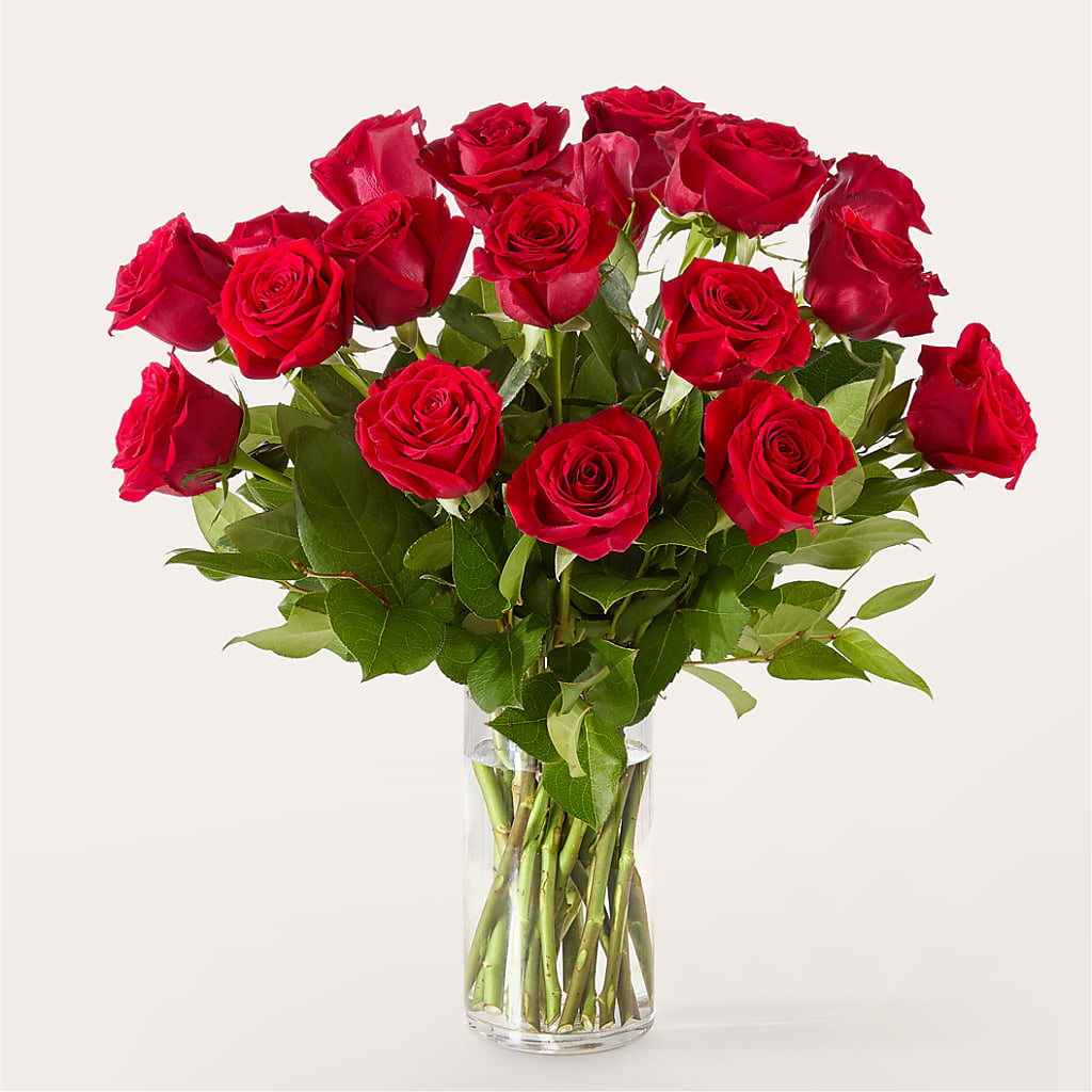 The One Red Rose Bouquet –  Abc Florist, Mullens WV