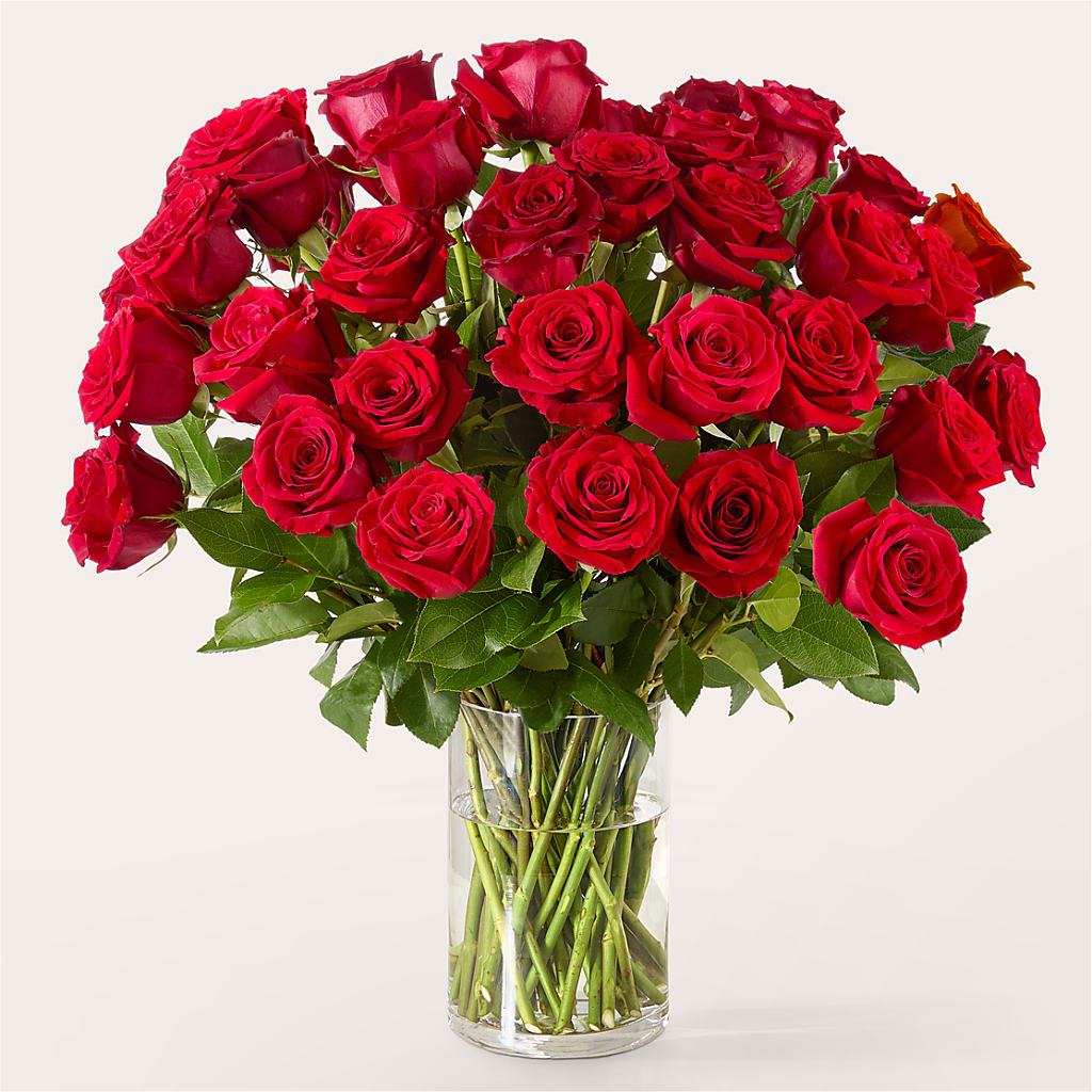 The One Red Rose Bouquet –  Abc Florist, Mullens WV