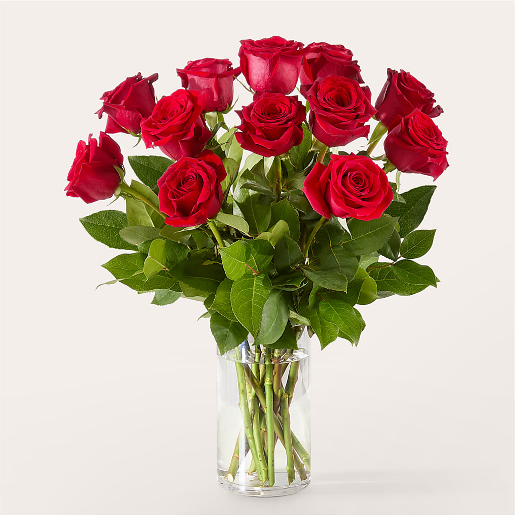 The One Red Rose Bouquet –  Abc Florist, Mullens WV