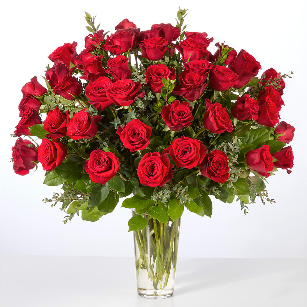 Forever Yours Fifty Stem Red Rose Bouquet –  Abc Florist, Mullens WV