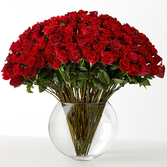 The Idealist –  Abc Florist, Mullens WV
