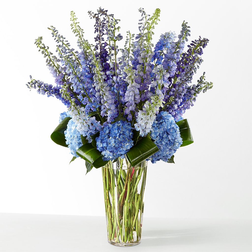 The Editorial –  Abc Florist, Mullens WV