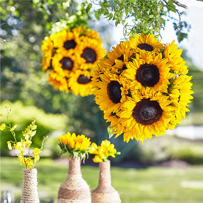 Sublime Garden Hanging Arrangement –  Abc Florist, Mullens WV